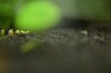 Silvester 2011 004.JPG