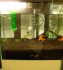 Neues Tigerbecken (rechts).jpg