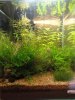 DSC00523.JPG