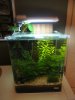 DSC00525.JPG