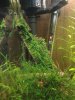 DSC00529.JPG