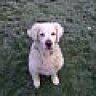 Sunny09