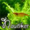 Nautiker