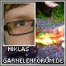 niklas96