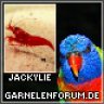 Jackylie