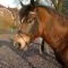 Sherrie