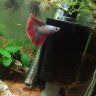 Blue Gar