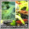 mithnil
