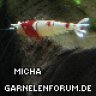 Micha1500