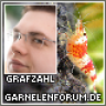 grafzahl