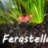 Ferastella