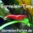 Garnelen-Tony