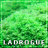 Ladroguez