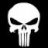 The Punisher
