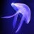 Liteops