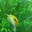 Marcs_Aquarium