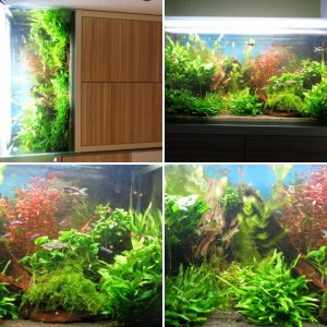 Werwesens Fluval Fresh