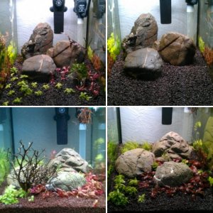 5 geteiltes Becken