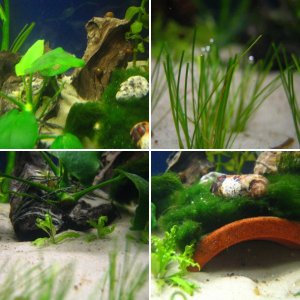 25 Liter Nano Aquarium