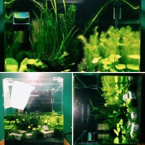 Nano Cube 30l