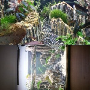 35 Liter Scapers Tank - erster Scape-Versuch