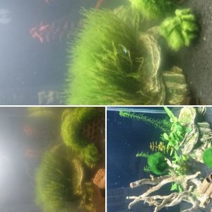 Mein nano cube 30 liter