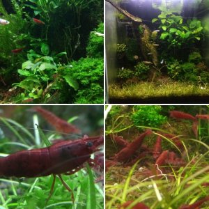 Buntes aus dem Wasserfernsehen