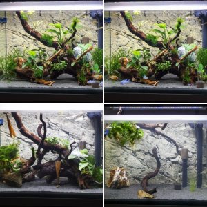 mein neues Fluval Fresh F60