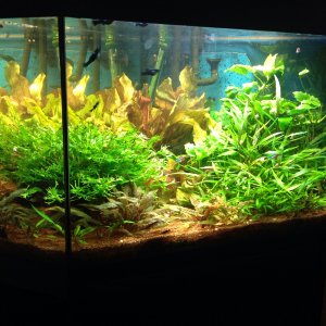 Delta Eckbecken 150 Liter