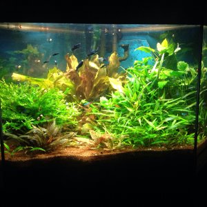 Delta Eckbecken 150 Liter