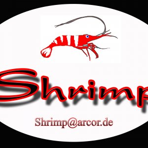 Shrimp