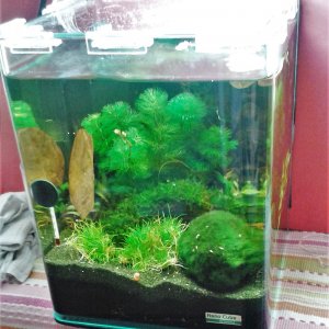 10l Cube von März 2016