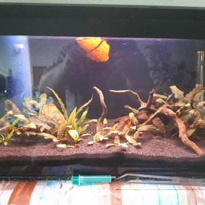 54l Okt. 18