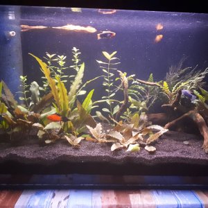 54L Nov. 18