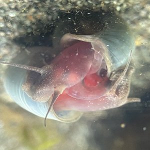 Love is in the Water
