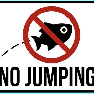 NoJumping.jpeg