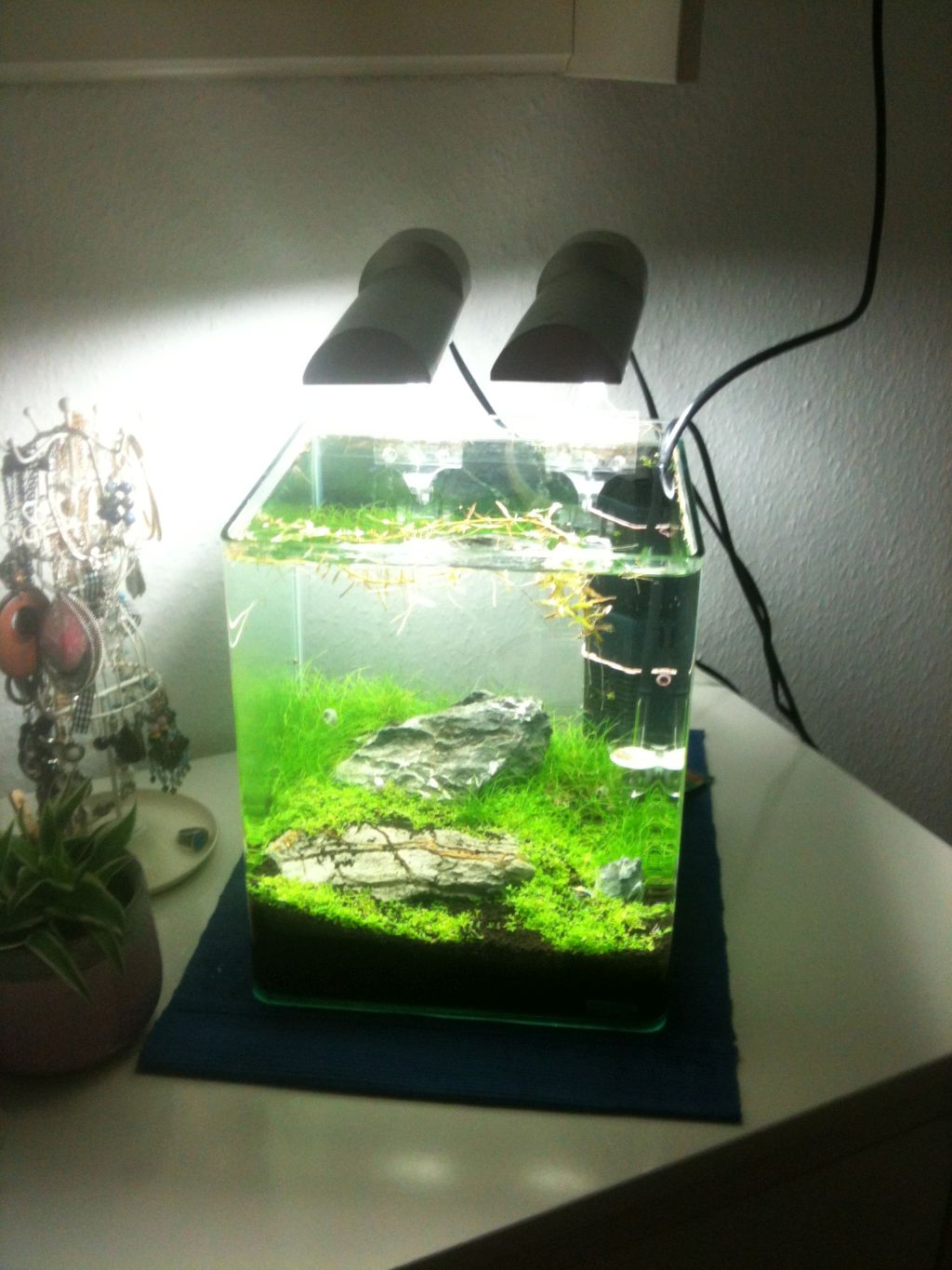 Foto