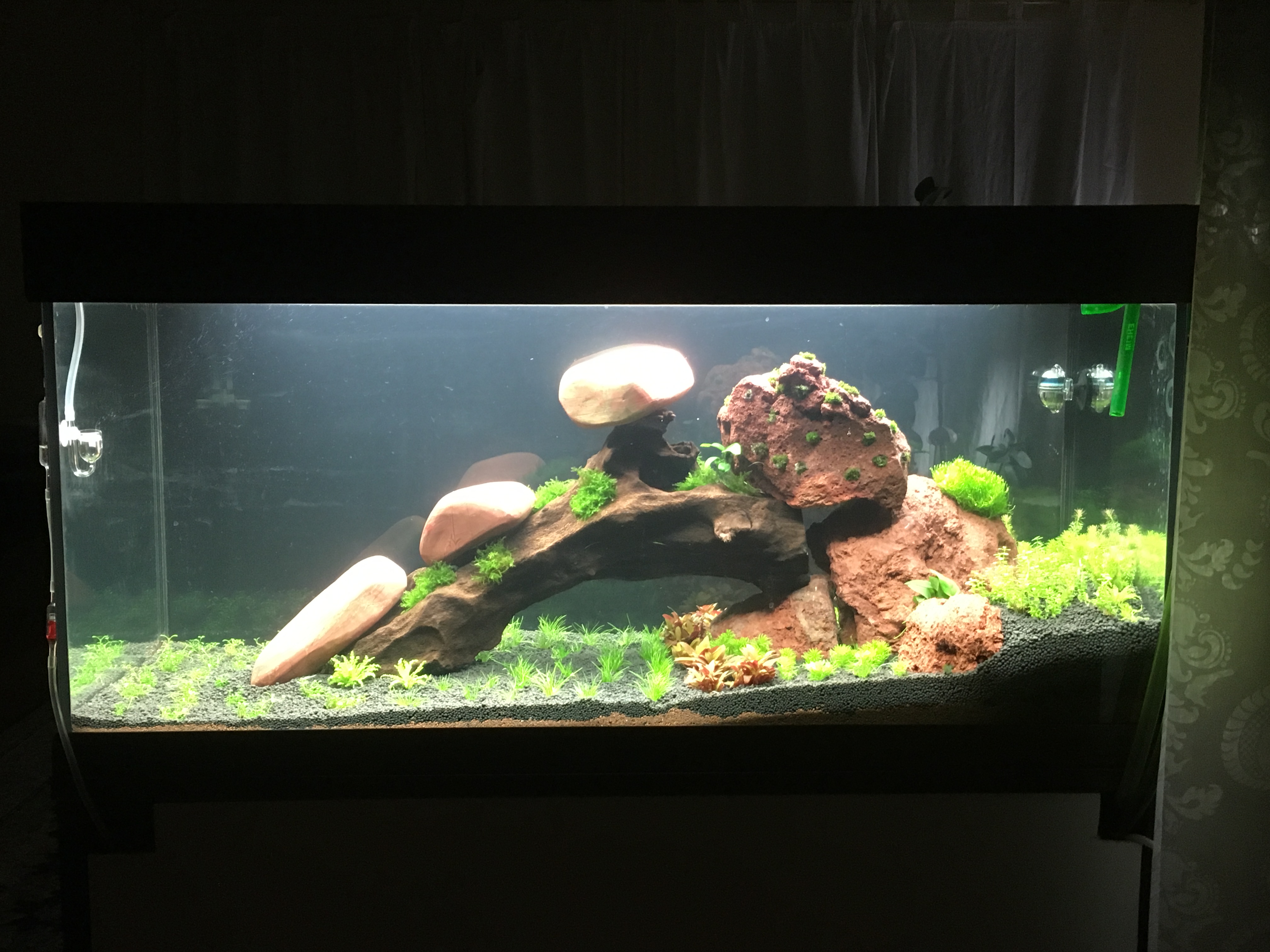 Foto1