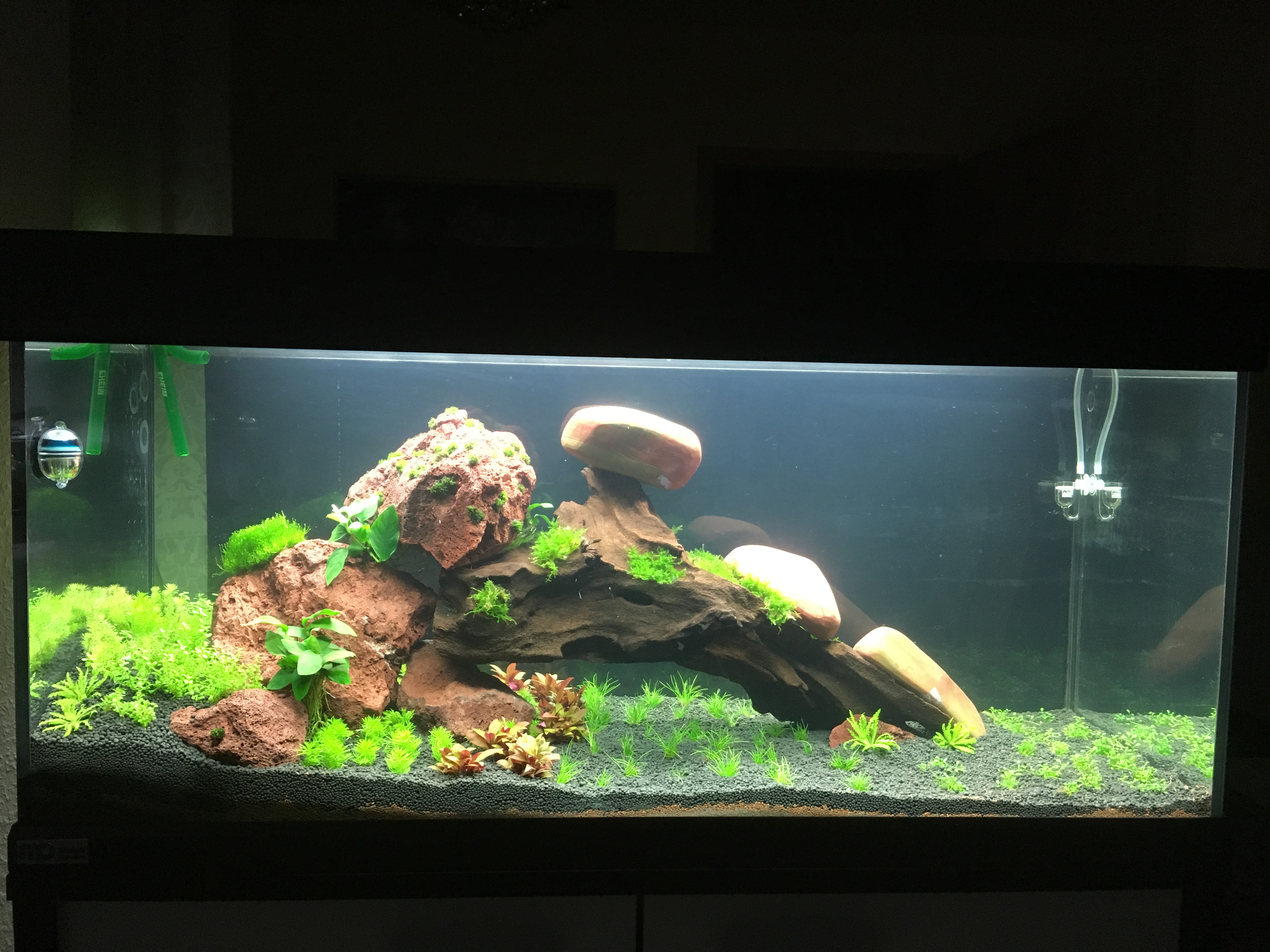 Foto2