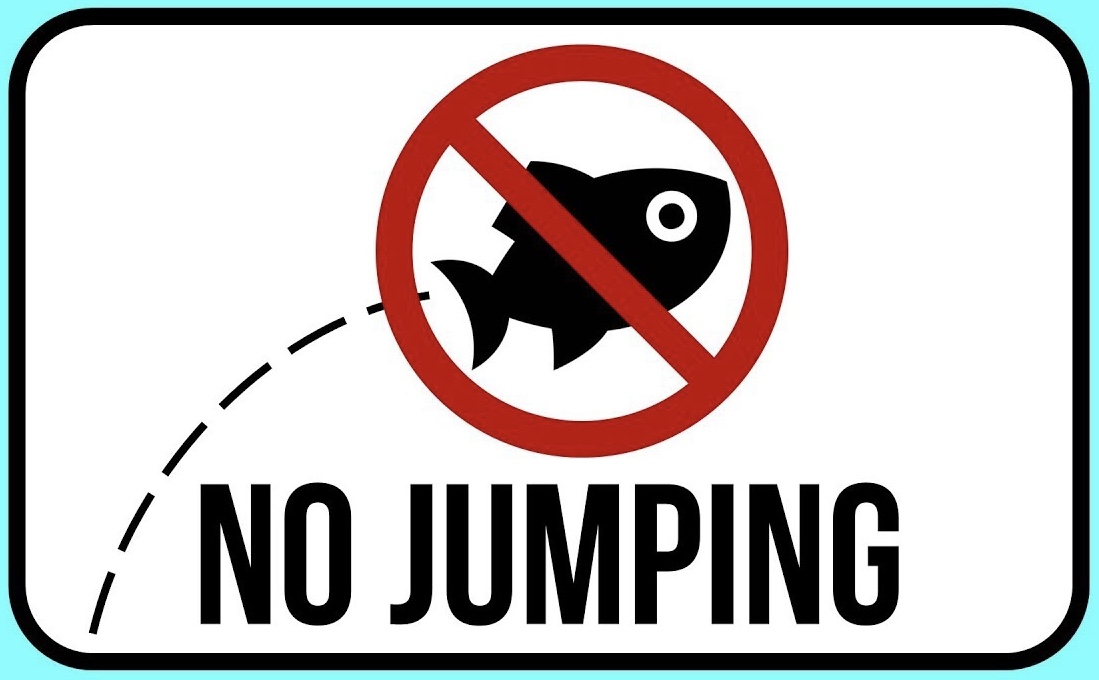 NoJumping.jpeg